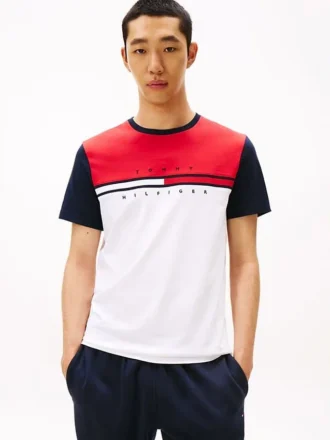 Colorblock Flag Stripe Logo T-Shirt