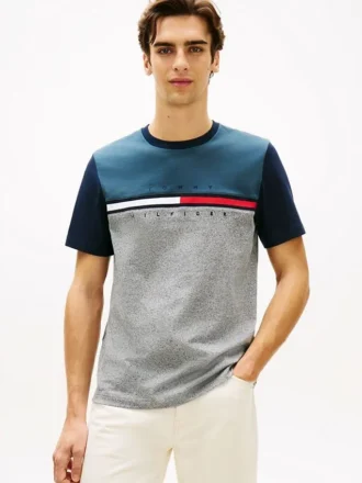 Colorblock Flag Stripe Logo T-Shirt