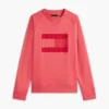 Flag-Logo-Sweatshirt mit gebürsteter Innenseite und Raglanärmeln