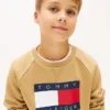 Kinder-Raglan-Sweatshirt mit Tommy-Flag-Logo Kinder-Raglan-Sweatshirt mit Tommy-Flag-Logo